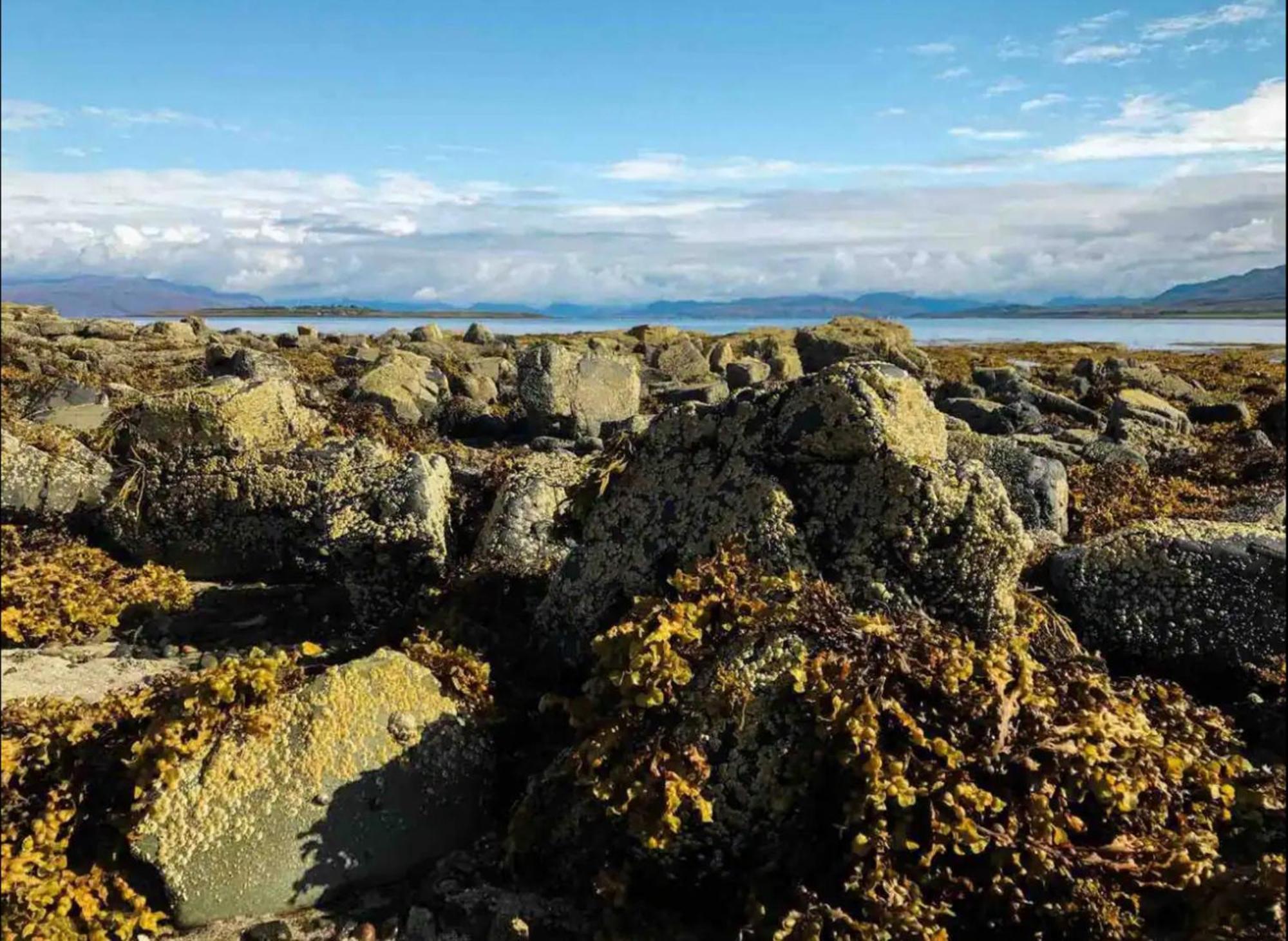 Mackinnon Cottage - 3 Bedroom Cottage Broadford (Isle of Skye) Eksteriør billede